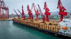 日照港结合山东口岸物流板块、及木材客户